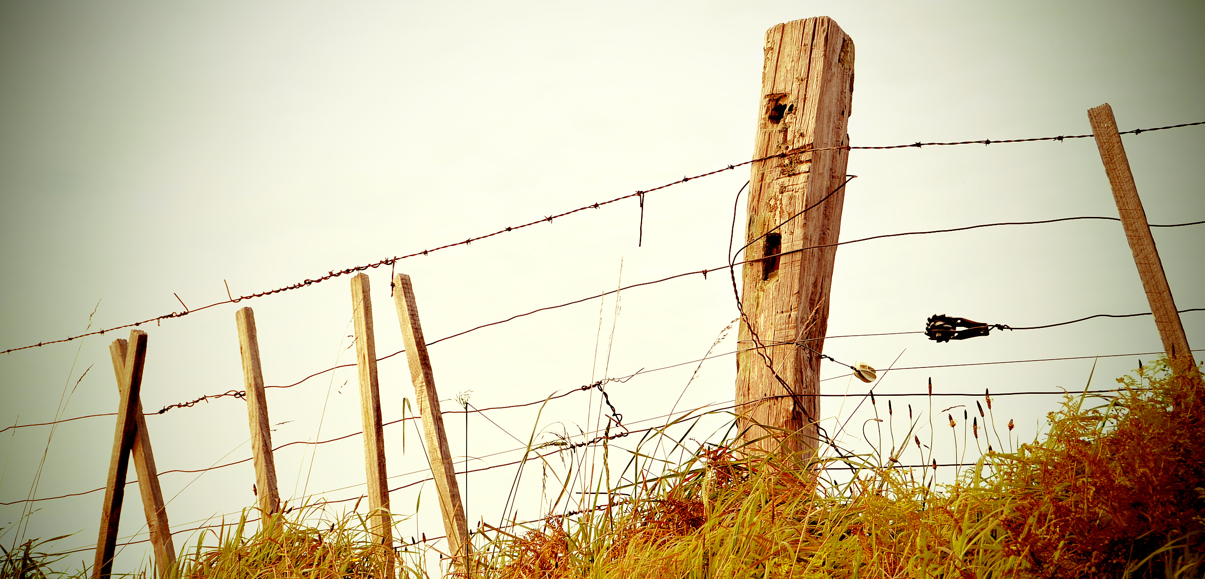 fence-filtered-by-artwave-cropped