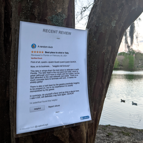 photo of fake yelp review by a duck