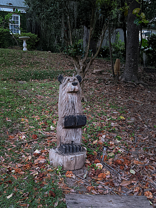 bear in a yard