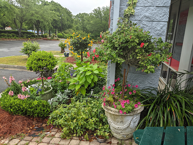 small garden