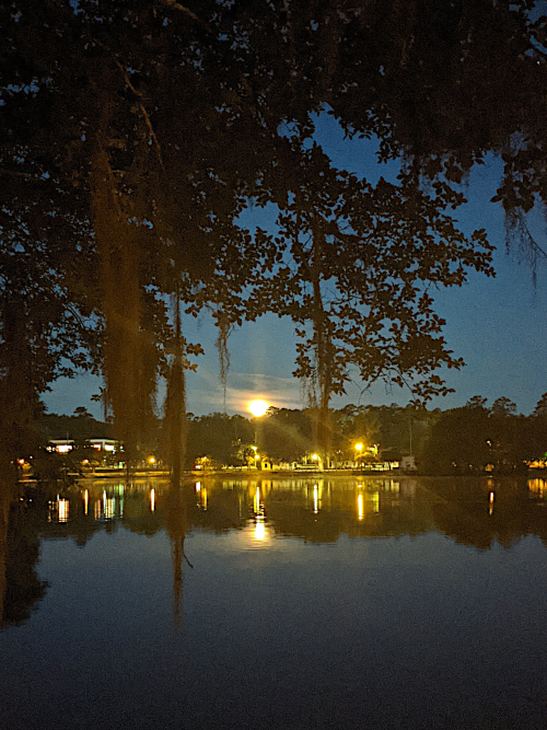 moon over tallahassee