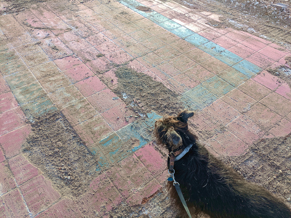 Keely standing on blue and pink paving stones